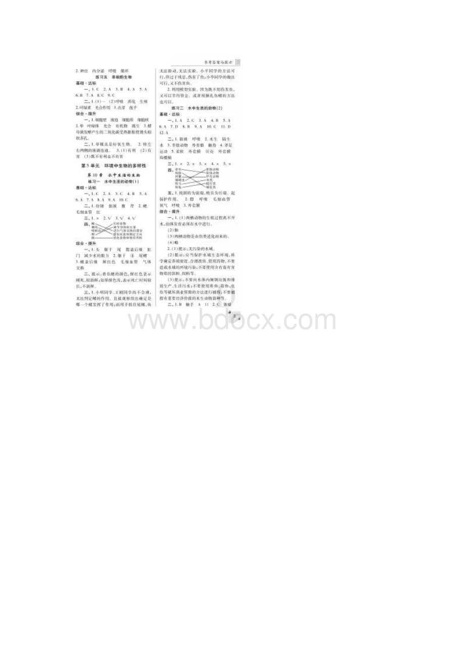 七年级陕师大版七年级生物下册练习册答案Word下载.docx_第3页