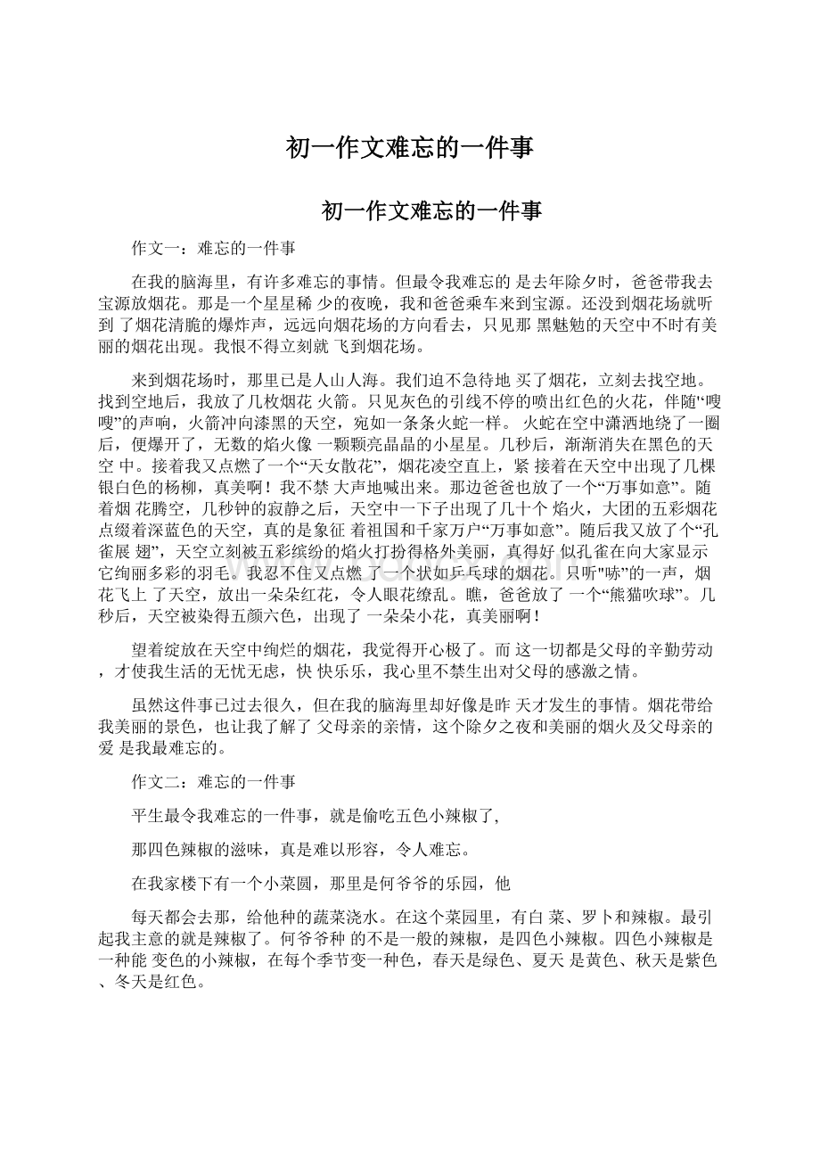 初一作文难忘的一件事文档格式.docx