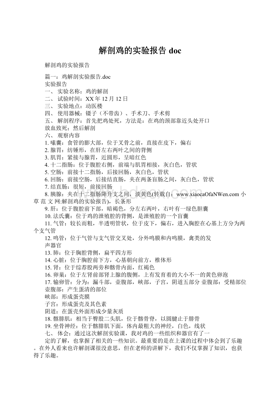 解剖鸡的实验报告doc.docx_第1页