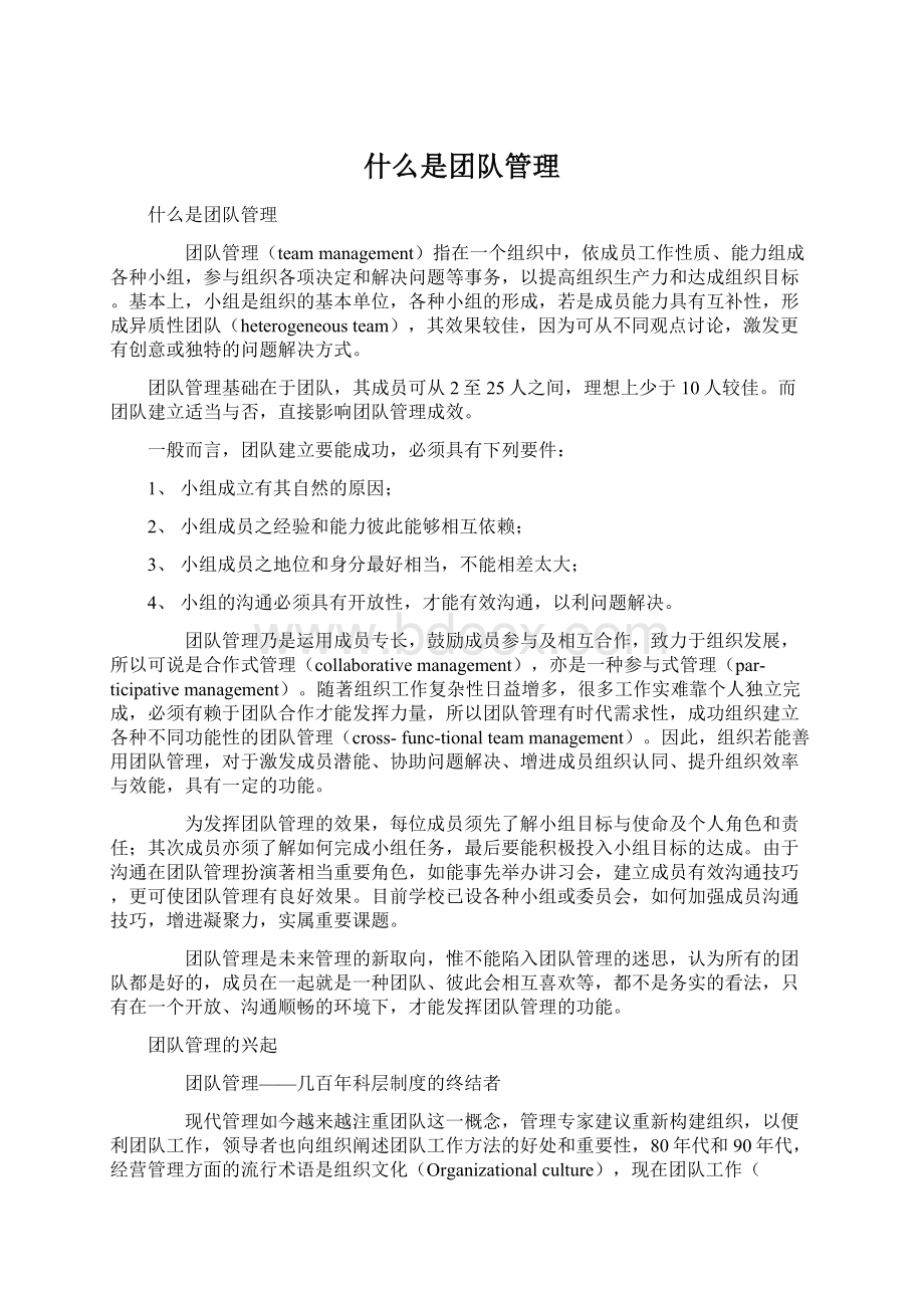 什么是团队管理Word文档下载推荐.docx_第1页