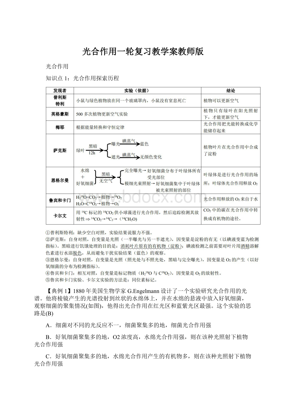 光合作用一轮复习教学案教师版文档格式.docx_第1页