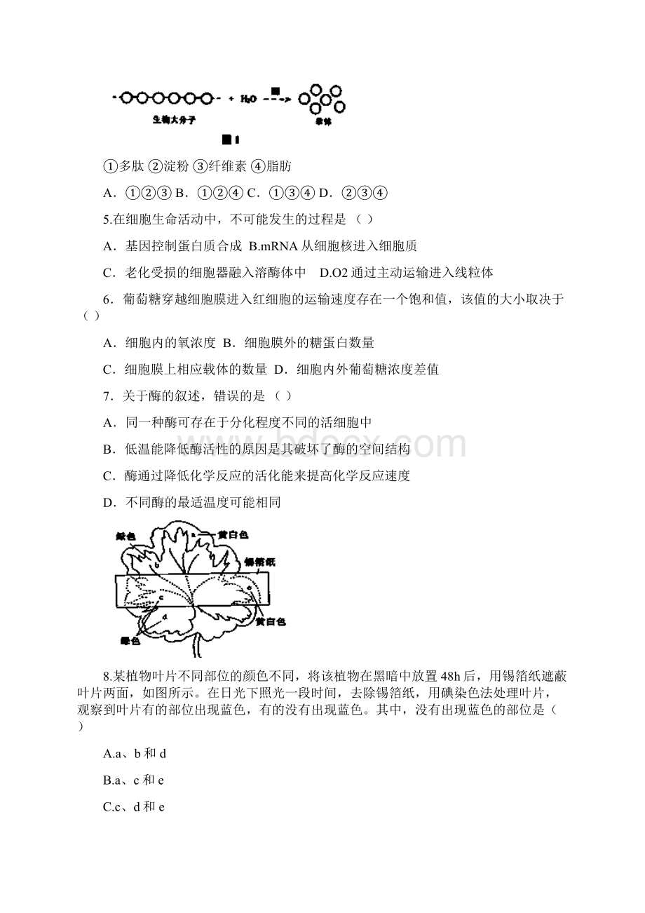 海南省三亚市第一中学届高三第四次月考生物试题平行班 Word版含答案文档格式.docx_第2页