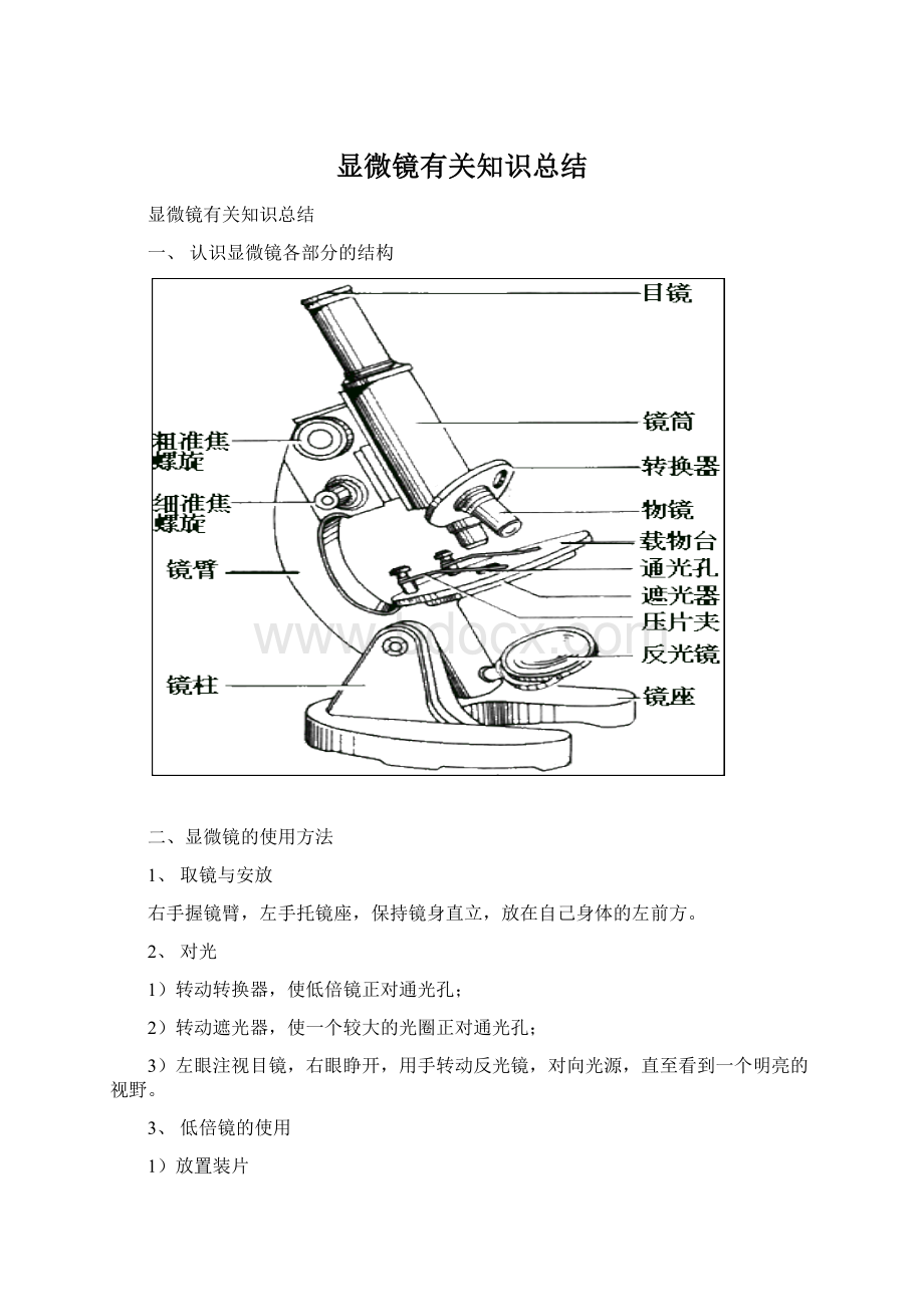 显微镜有关知识总结.docx