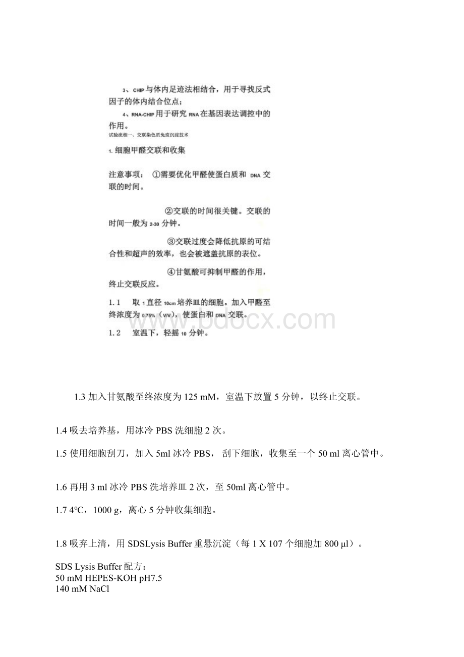 ChIP实验精讲做科研的必看Word格式文档下载.docx_第2页