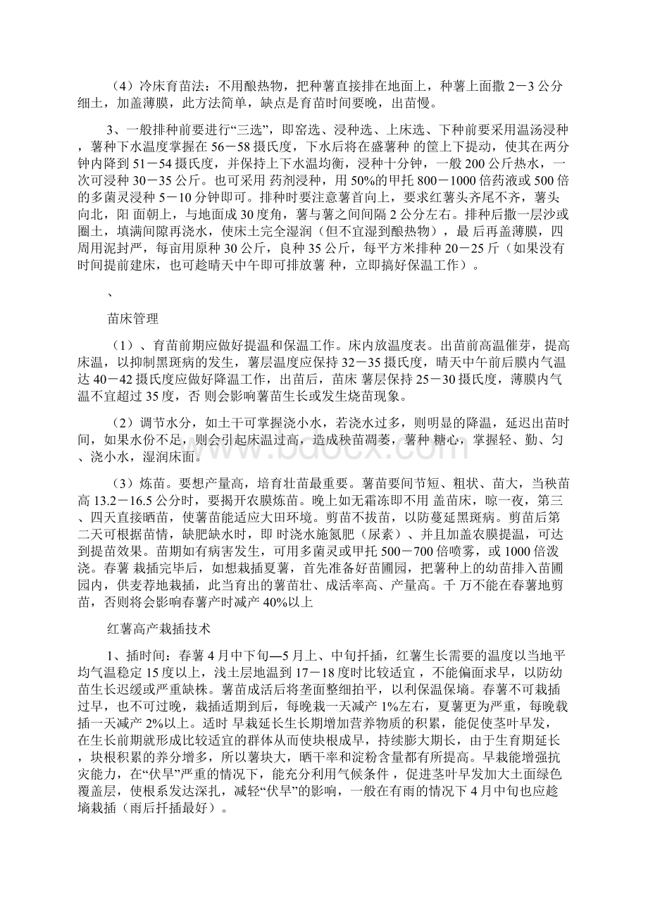 怎么种红薯.docx_第2页