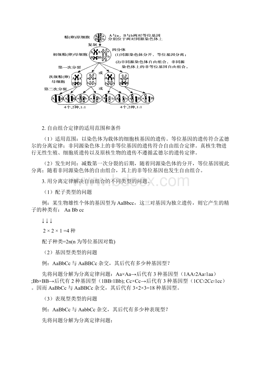 学业水平考试生物复习专题六 孟德尔的遗传规律Word下载.docx_第3页