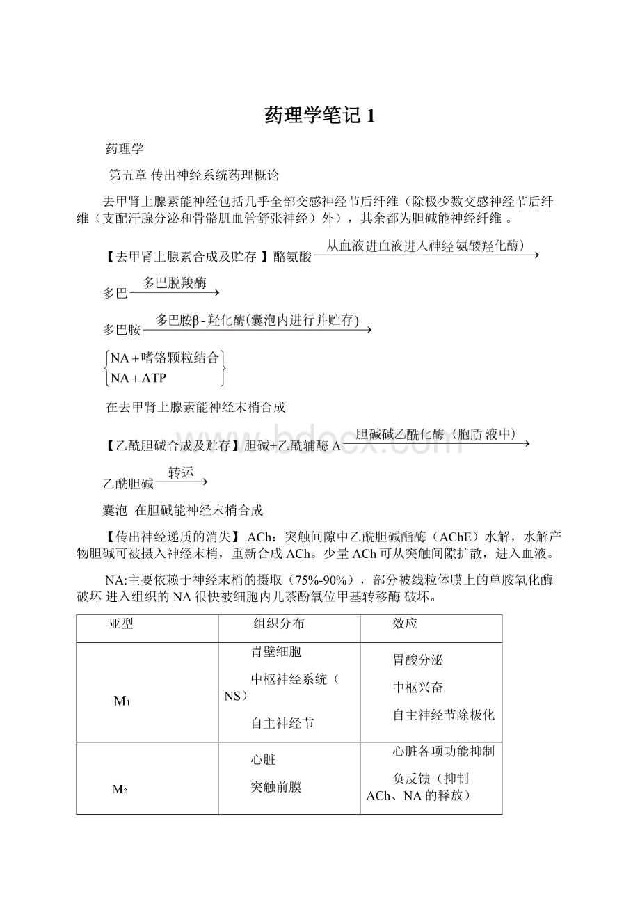 药理学笔记1Word格式文档下载.docx