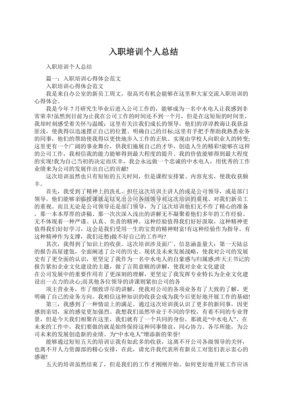 入职培训个人总结文档格式.docx