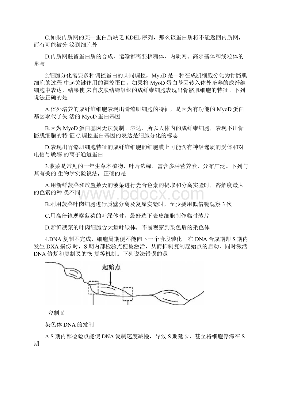 山东省届高三生物上学期开学质量检测试题Word下载.docx_第2页