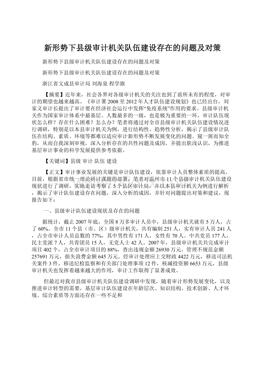 新形势下县级审计机关队伍建设存在的问题及对策.docx