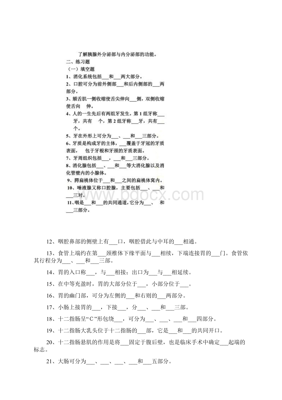 系统解剖学考题与答案消化系统文档格式.docx_第3页