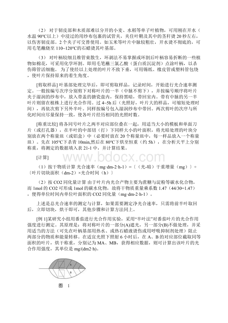 光合速率的测定方法Word文档格式.docx_第2页