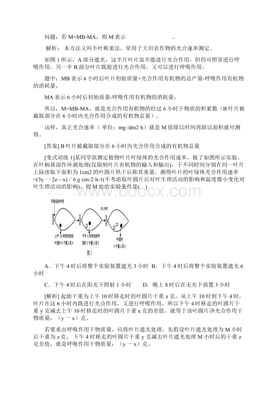 光合速率的测定方法Word文档格式.docx_第3页