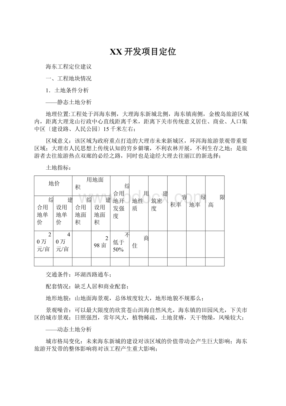 XX开发项目定位.docx