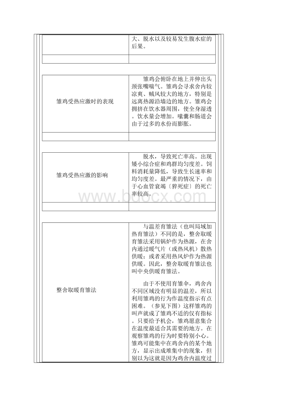 雏鸡管理注意事项.docx_第3页