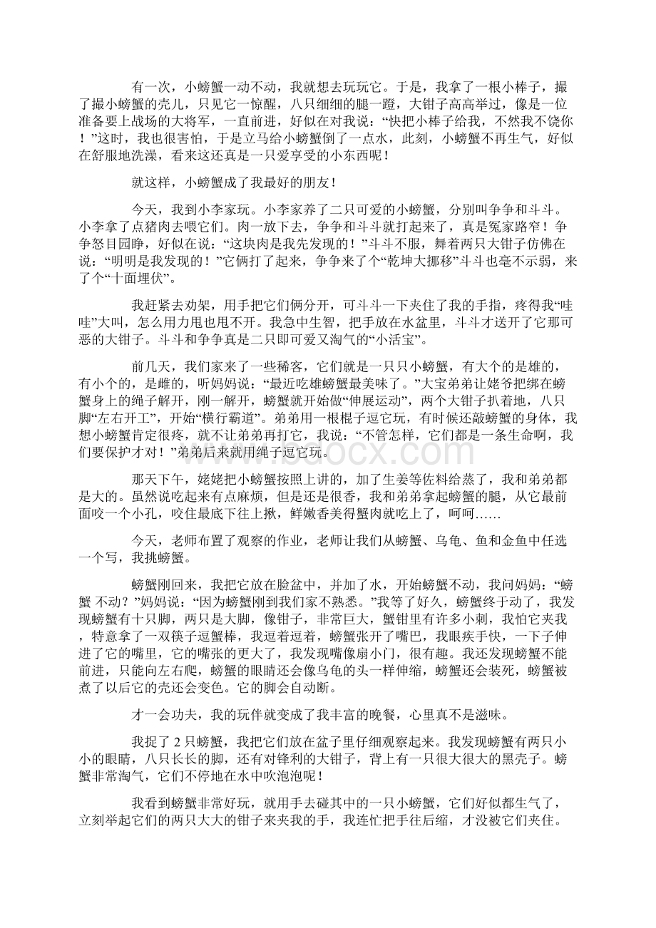 观察螃蟹的作文15篇文档格式.docx_第2页