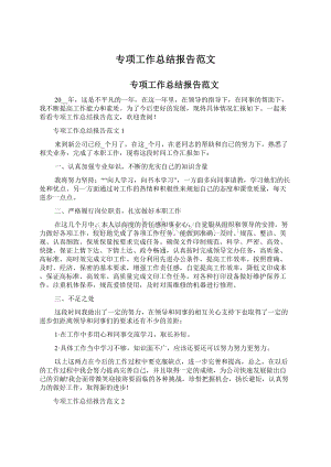 专项工作总结报告范文Word文档格式.docx