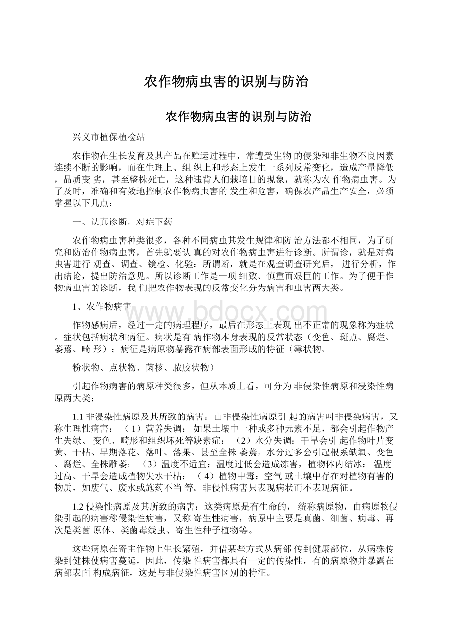 农作物病虫害的识别与防治Word文件下载.docx