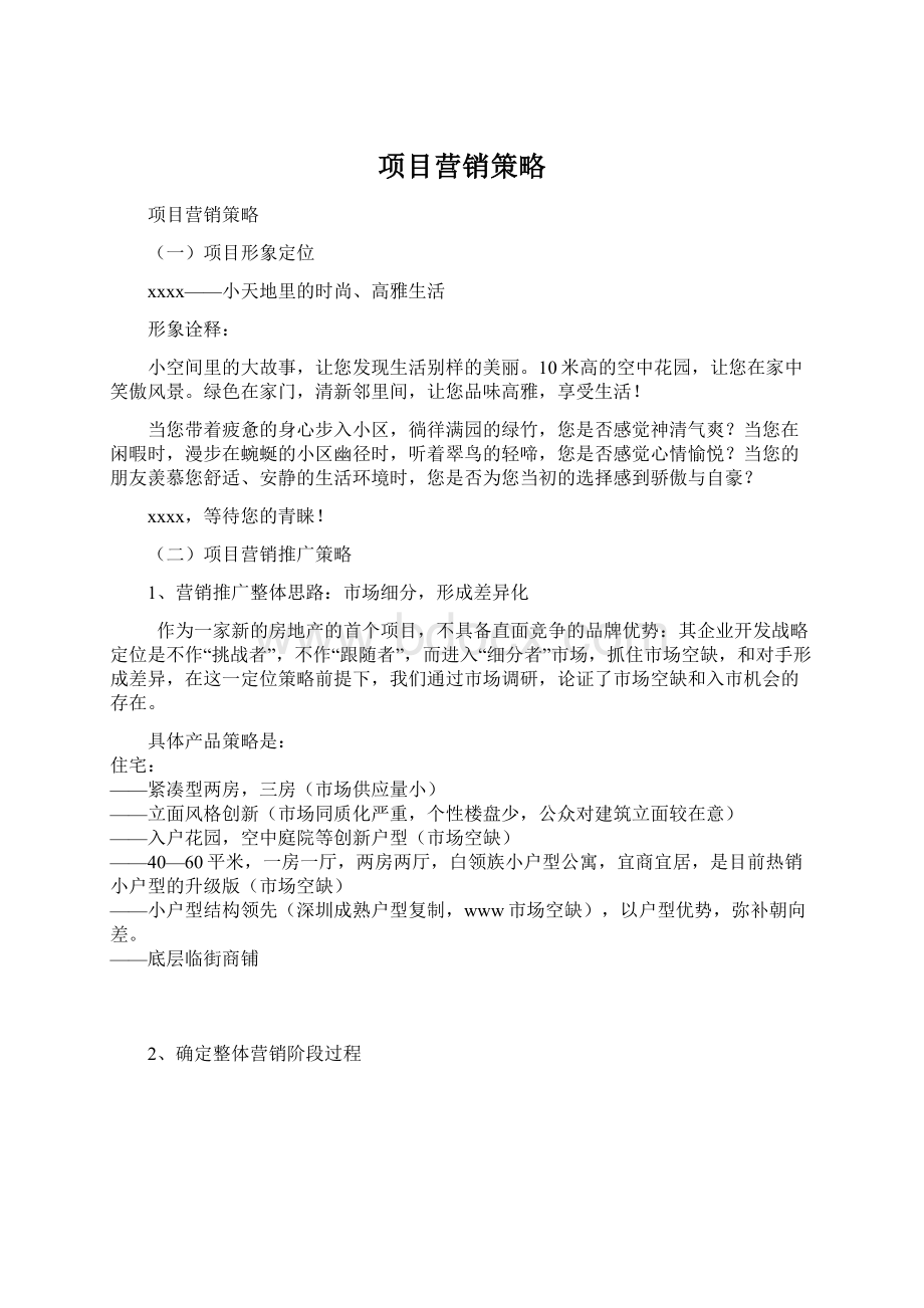 项目营销策略Word文档格式.docx