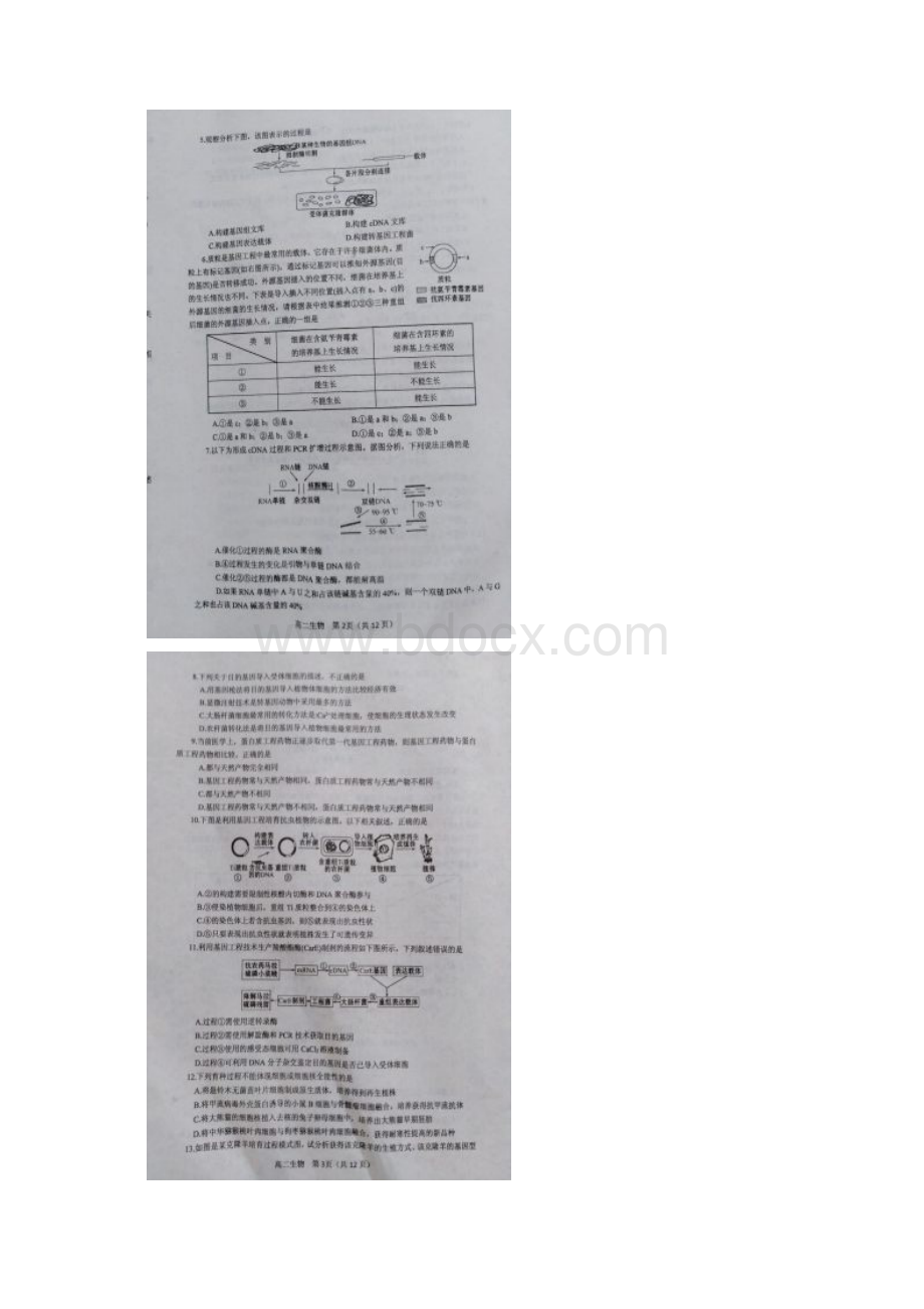 河南省南阳市学年高二下学期期中考试生物试.docx_第2页