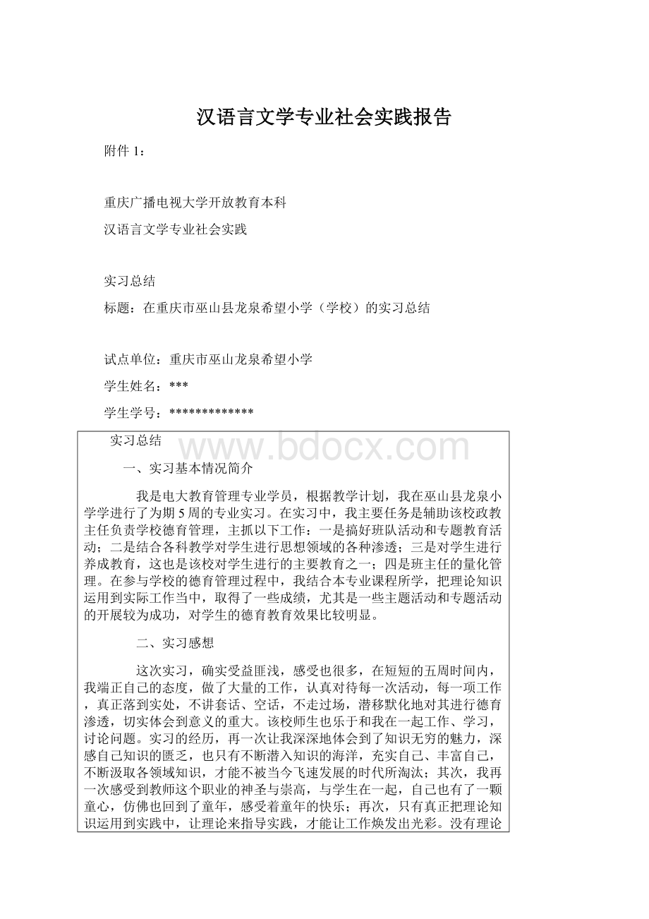 汉语言文学专业社会实践报告.docx