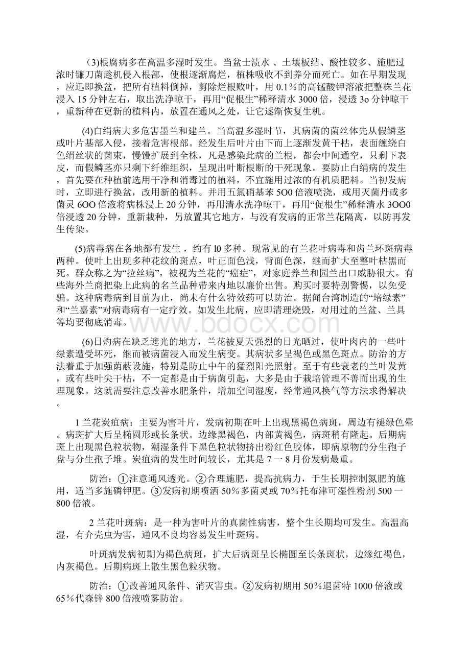 兰花常见病害防治Word下载.docx_第3页