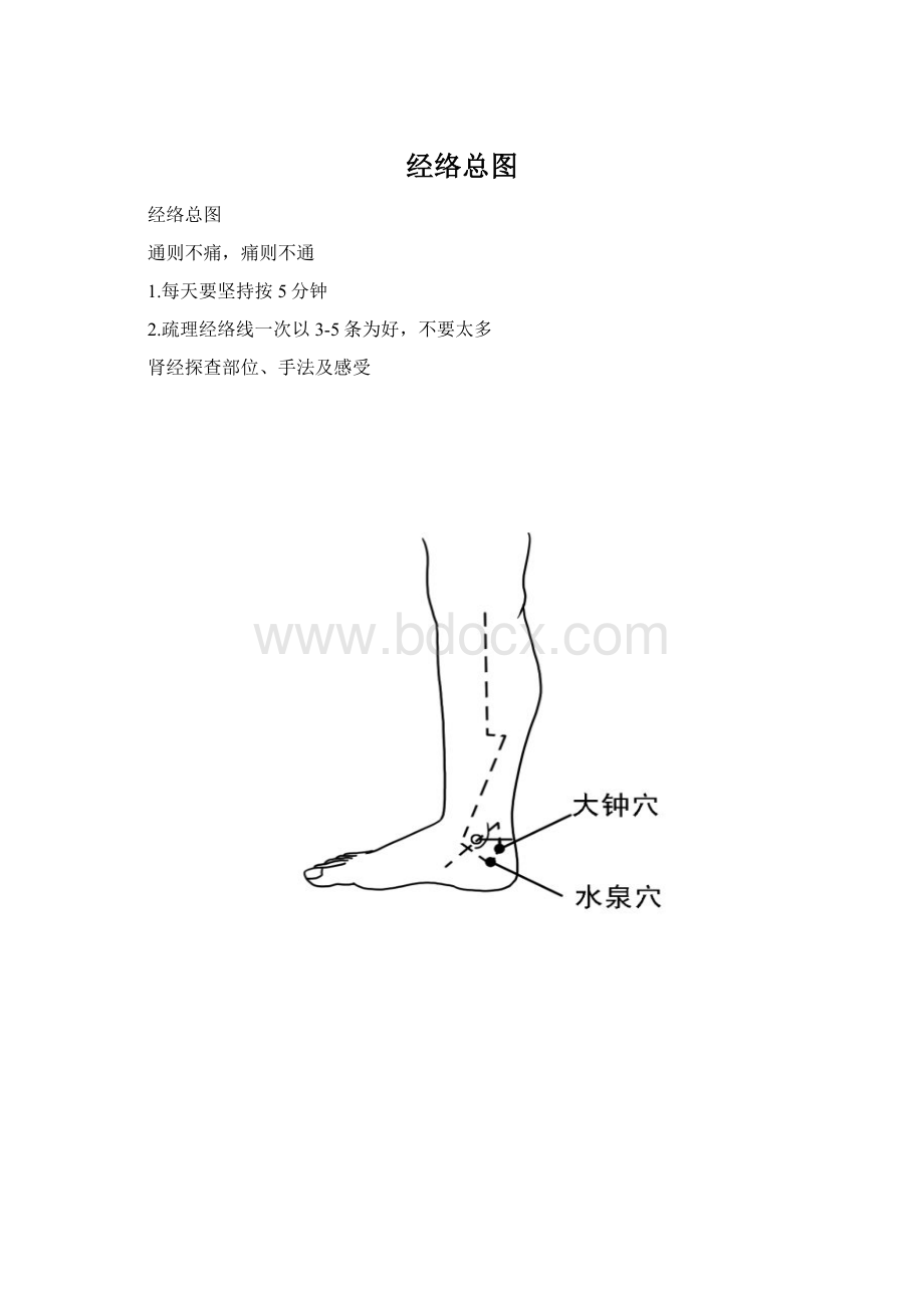 经络总图文档格式.docx_第1页