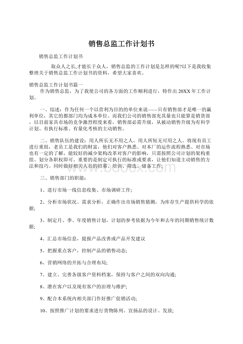 销售总监工作计划书.docx_第1页