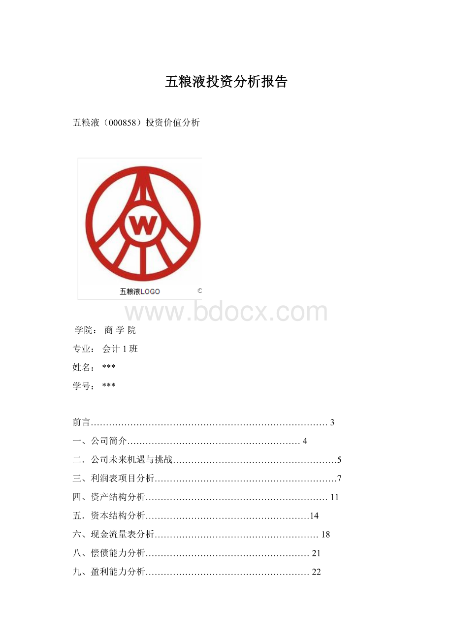 五粮液投资分析报告Word格式文档下载.docx