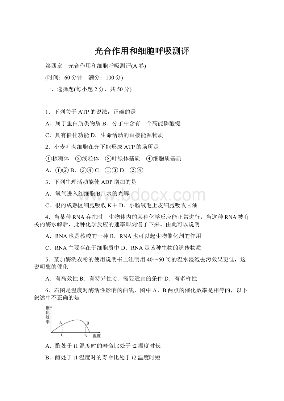 光合作用和细胞呼吸测评文档格式.docx