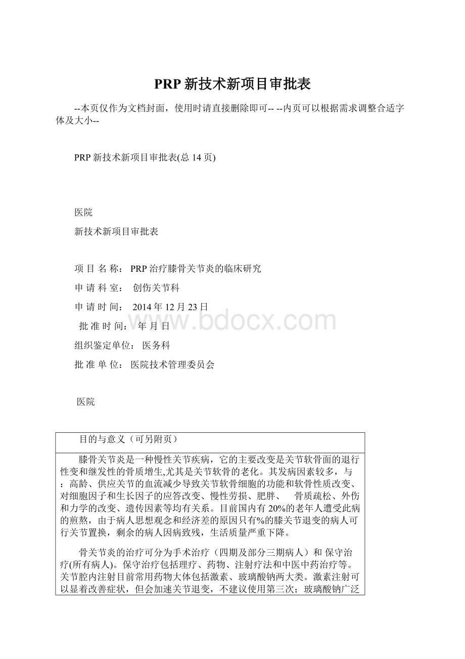 PRP新技术新项目审批表.docx