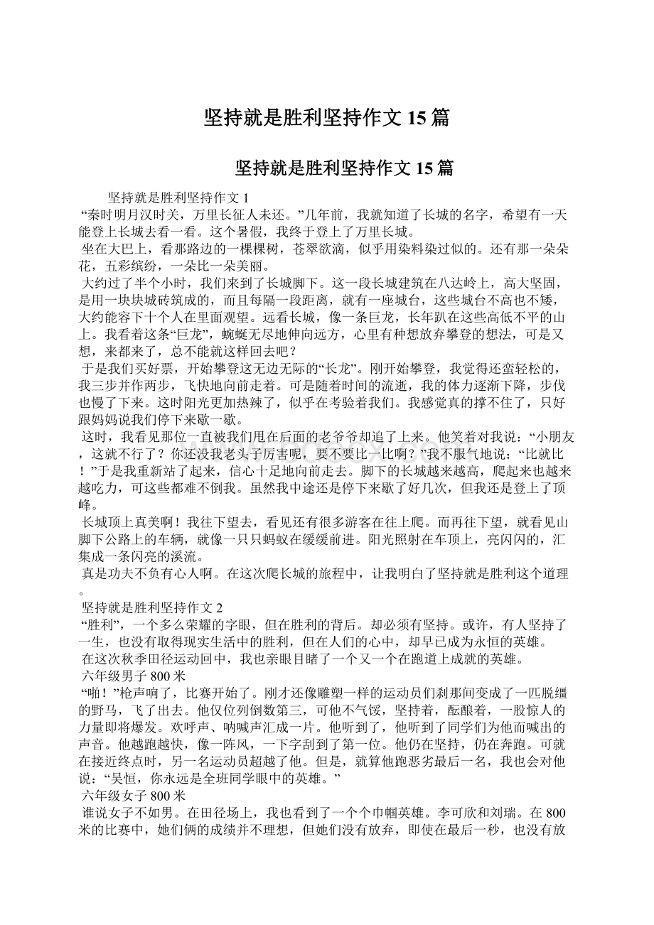 坚持就是胜利坚持作文15篇文档格式.docx