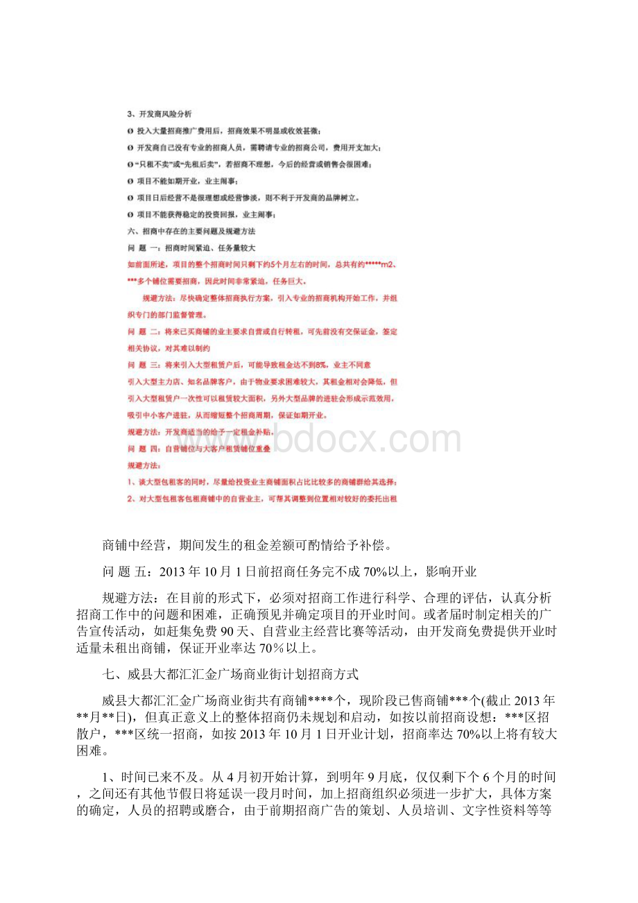 商业街整体招商方案.docx_第3页