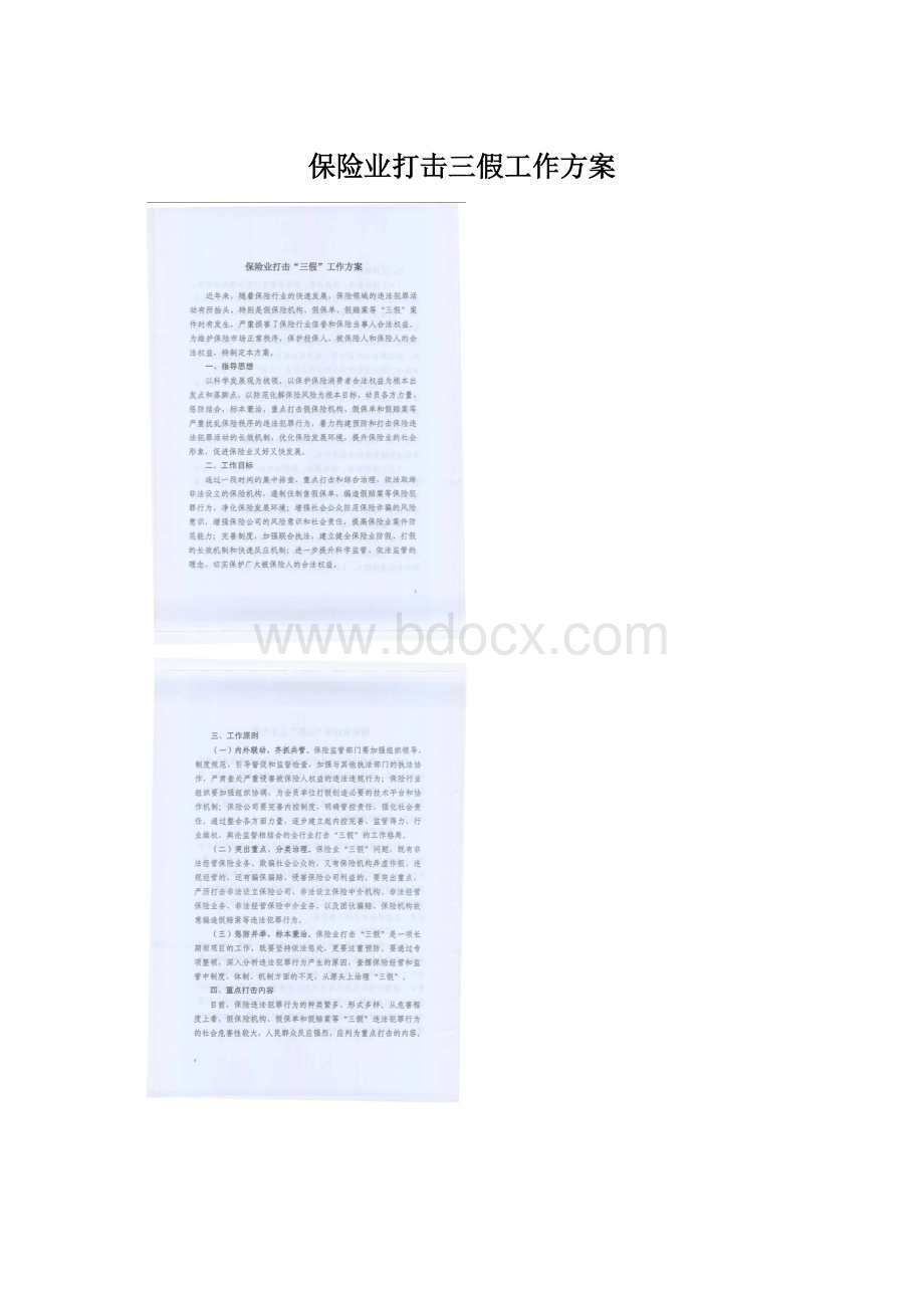 保险业打击三假工作方案.docx