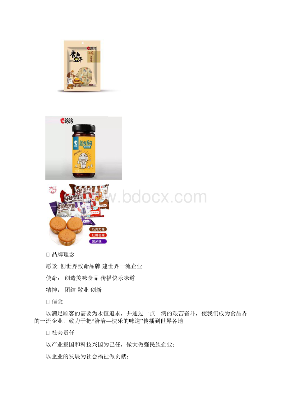 洽洽食品财务报告记录分析Word格式文档下载.docx_第3页