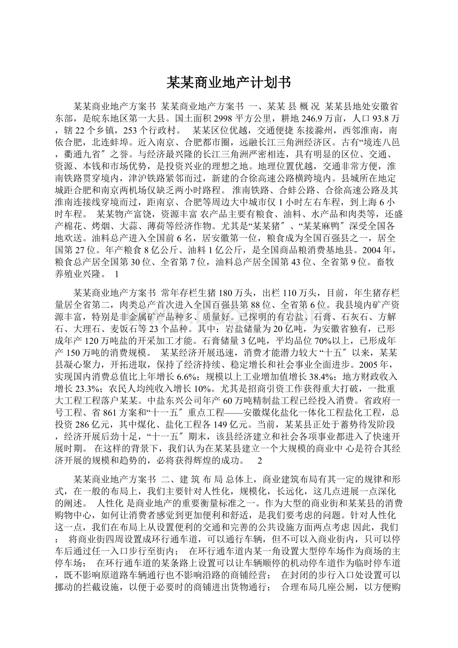 某某商业地产计划书Word文档格式.docx