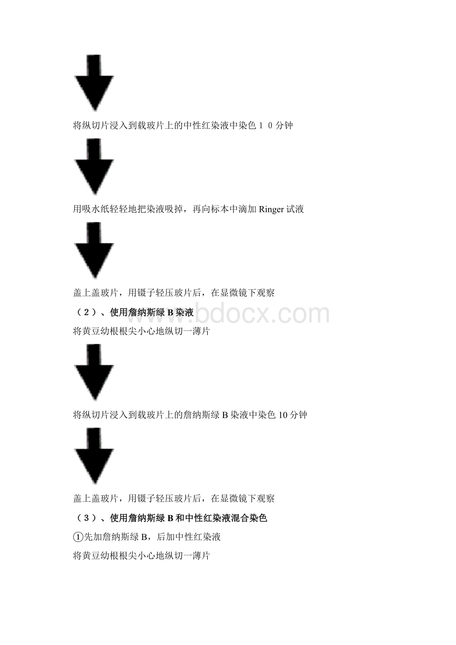 实验2 线粒体和液泡系的超活染色与观察文档格式.docx_第2页