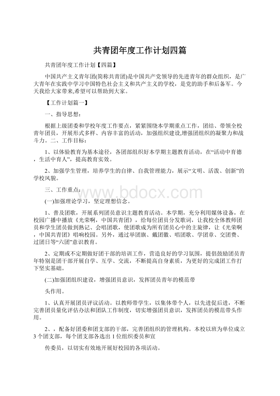 共青团年度工作计划四篇文档格式.docx