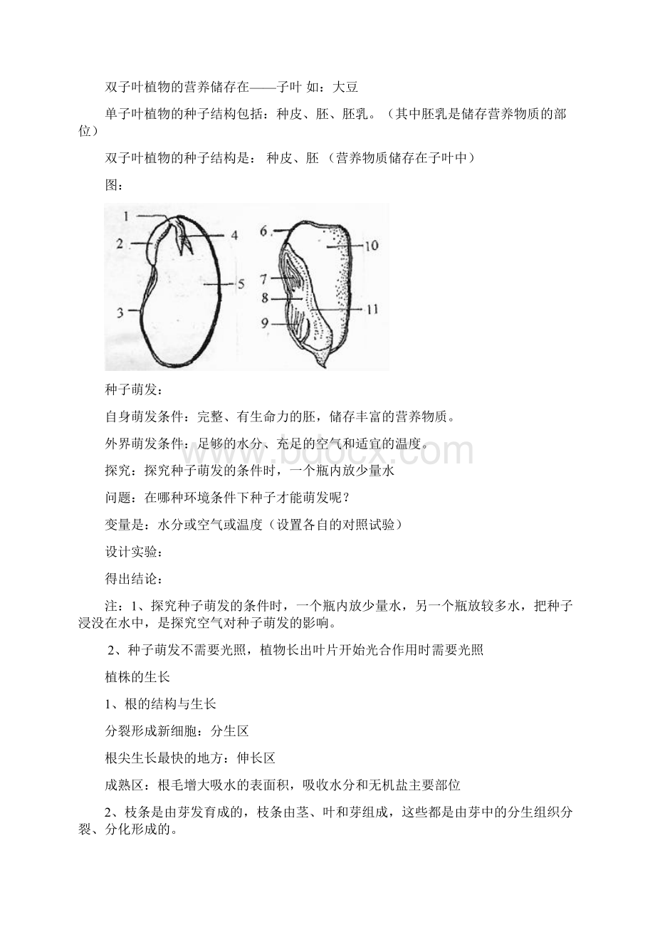 人教版七年级生物知识归纳.docx_第3页