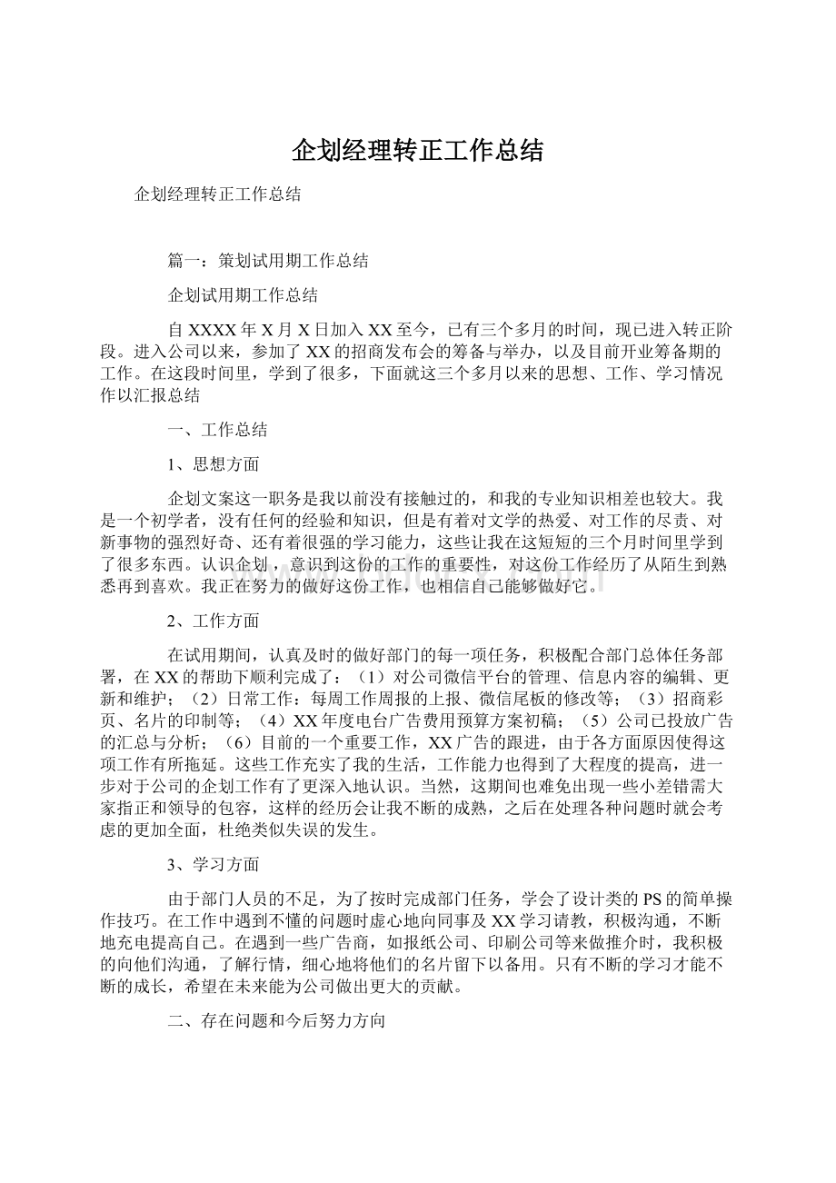 企划经理转正工作总结文档格式.docx_第1页