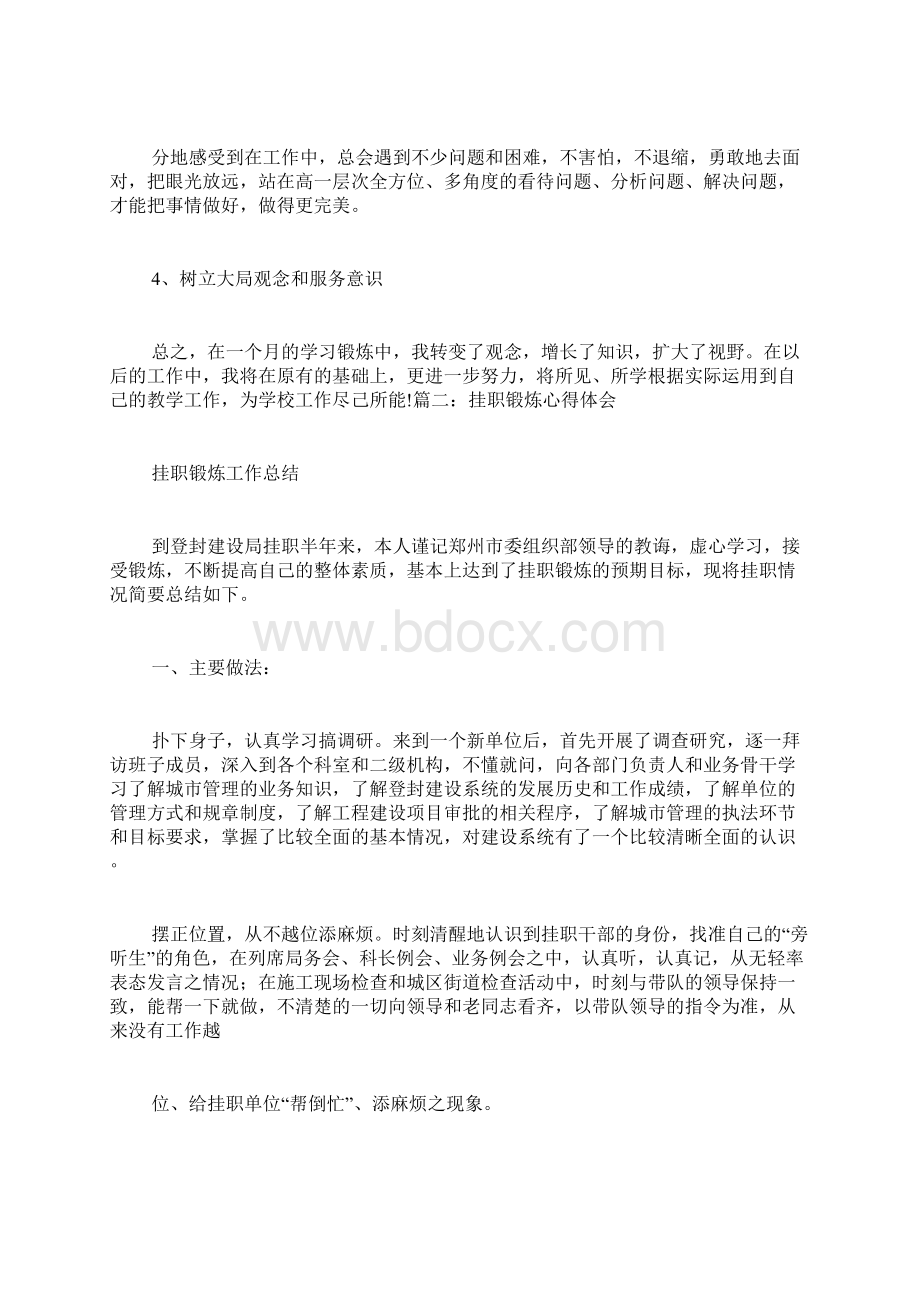 挂职学习心得体会5篇文档格式.docx_第3页