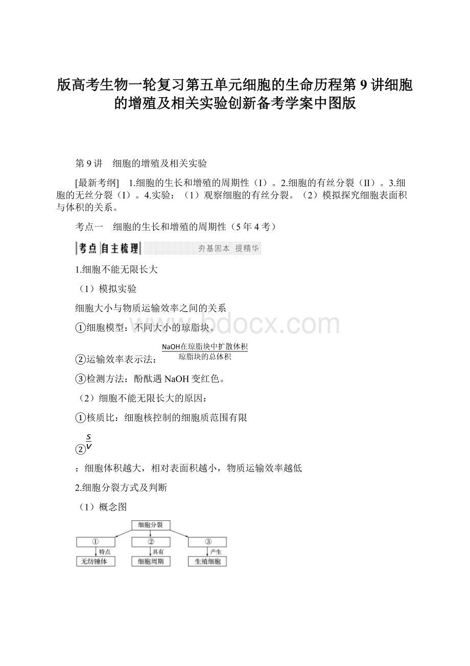 版高考生物一轮复习第五单元细胞的生命历程第9讲细胞的增殖及相关实验创新备考学案中图版Word格式文档下载.docx