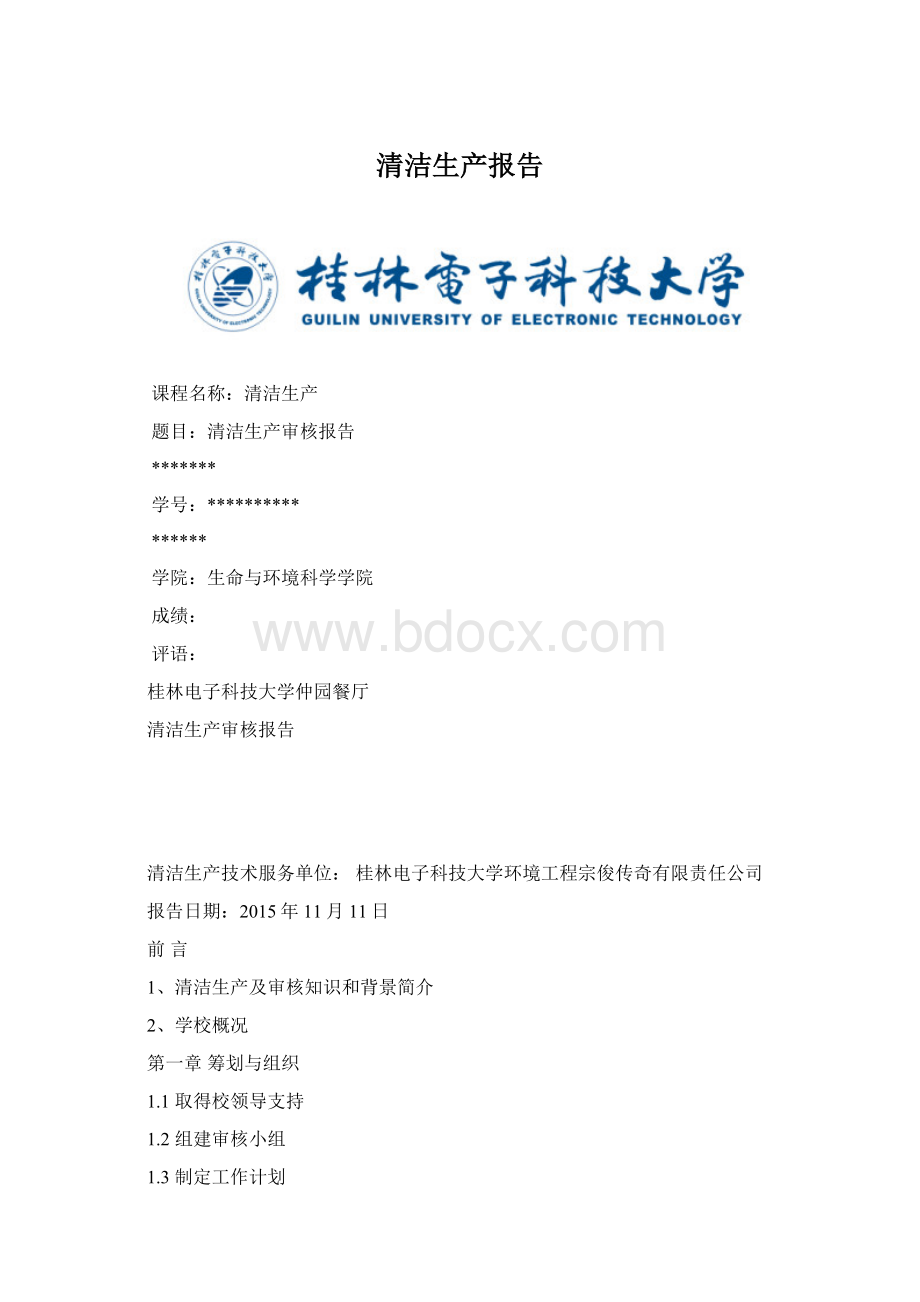 清洁生产报告文档格式.docx_第1页