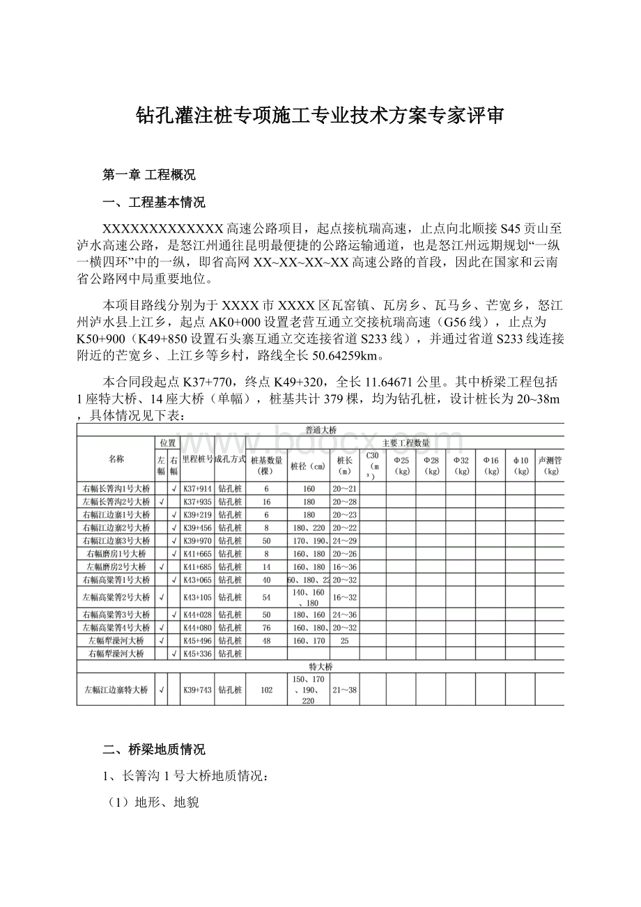 钻孔灌注桩专项施工专业技术方案专家评审.docx