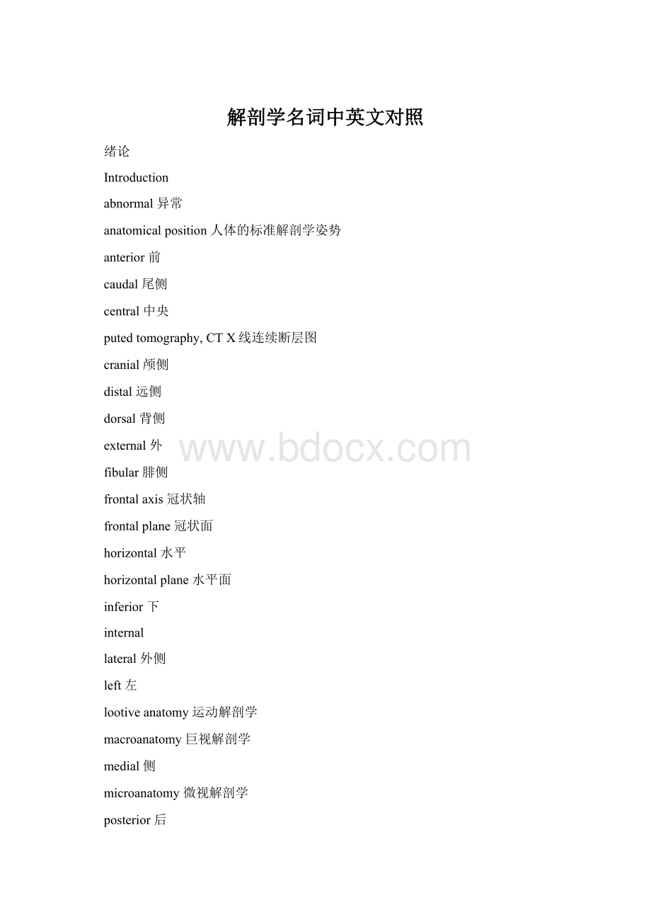 解剖学名词中英文对照.docx_第1页