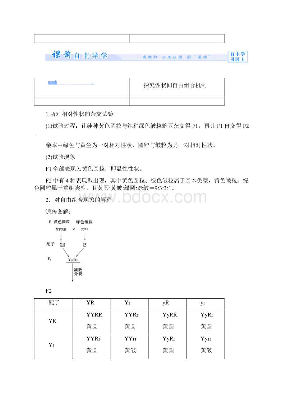 中图版必修2 基因的自由组合规律 学案.docx_第3页