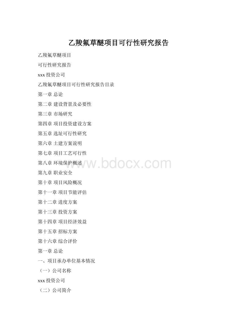 乙羧氟草醚项目可行性研究报告Word文件下载.docx