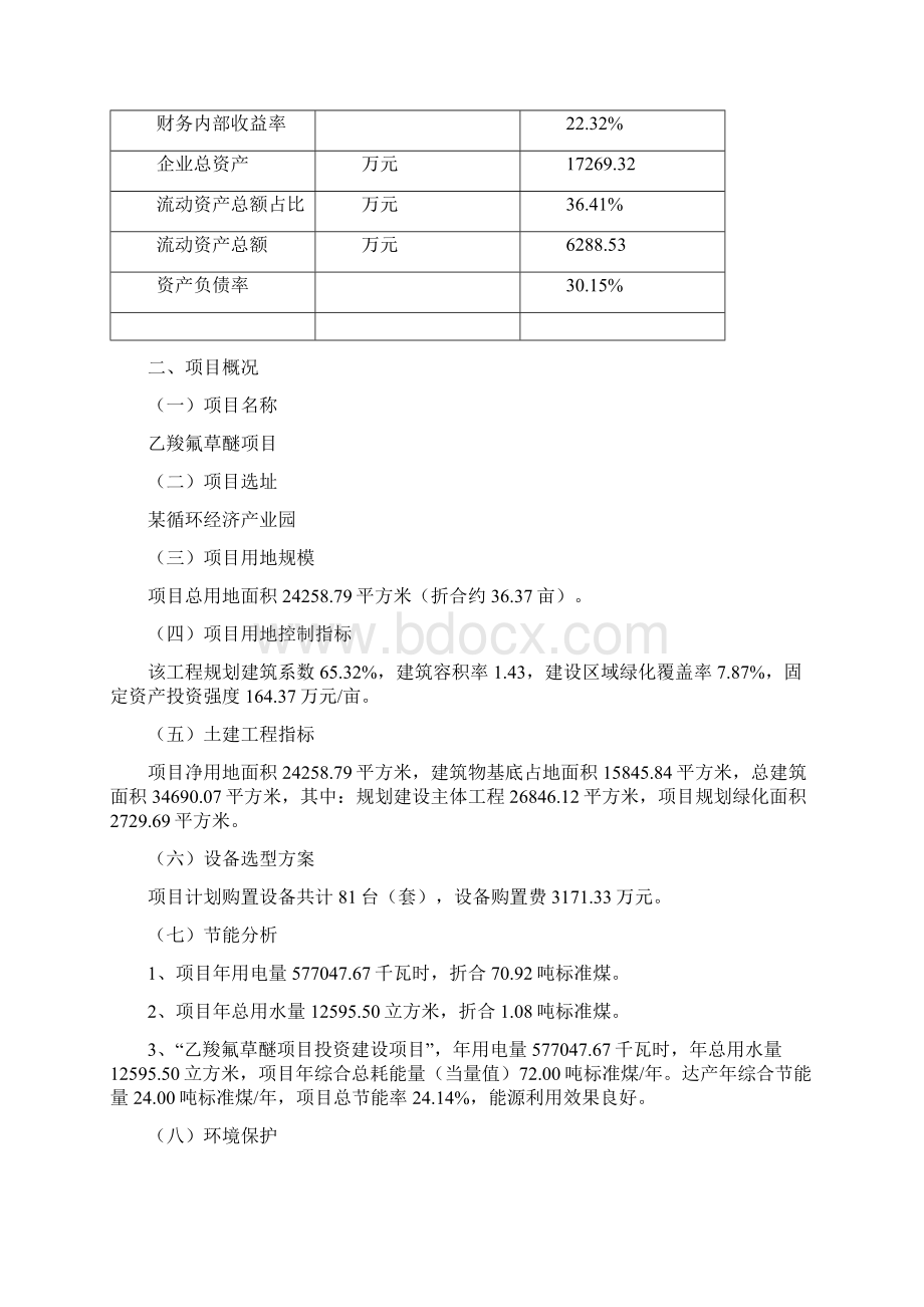 乙羧氟草醚项目可行性研究报告.docx_第3页