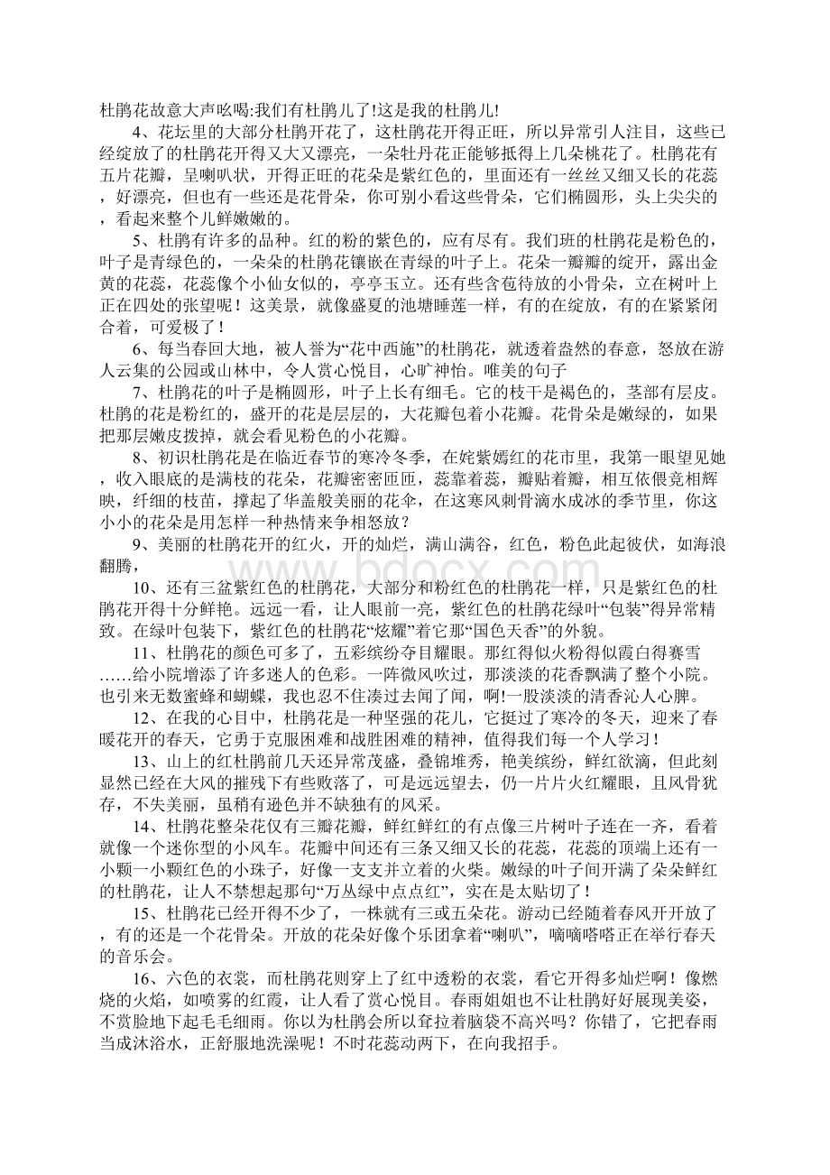 赞美杜鹃短句.docx_第2页