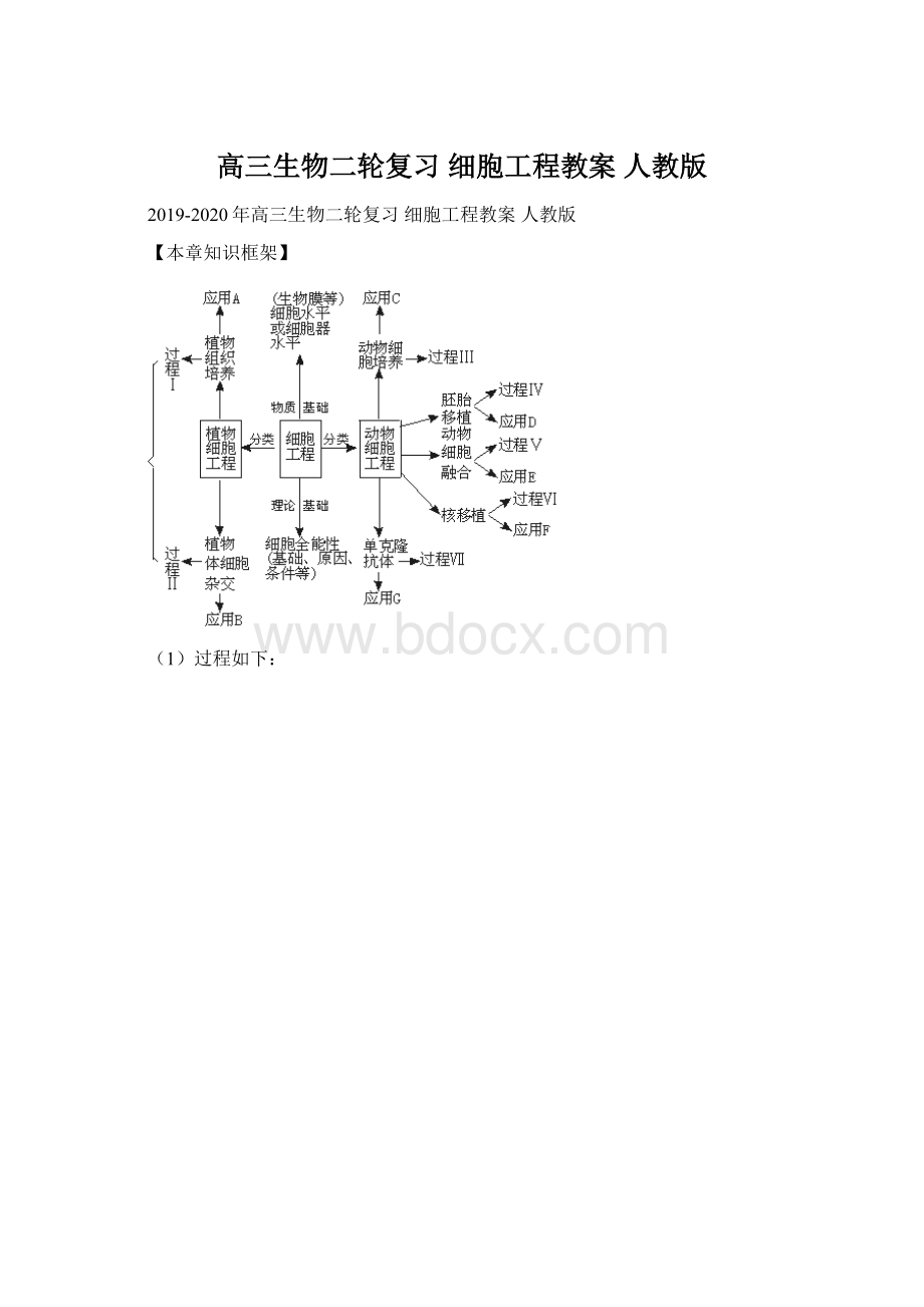 高三生物二轮复习 细胞工程教案 人教版.docx_第1页